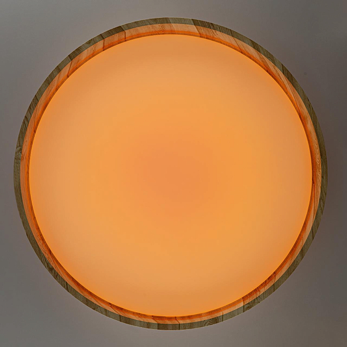 Светильник Citilux CL753452G