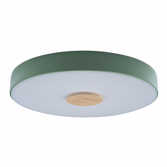 Светильник LOFT IT 10003/24 Green