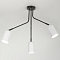 Rivoli 3167-303