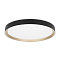 Светильник Citilux CL751451G
