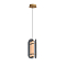 Светильник NewRgy P24007-1C(SY) GD+SMOKY